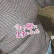 ヒメ日記 2025/02/13 14:40 投稿 ゆあ ハピネス札幌