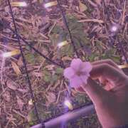 ヒメ日記 2025/04/06 09:15 投稿 ゆあ ハピネス札幌