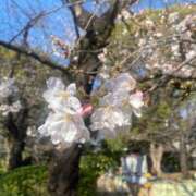 ヒメ日記 2026/03/25 16:43 投稿 ゆあ ハピネス札幌