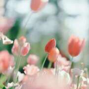 ヒメ日記 2026/04/08 12:03 投稿 ゆあ ハピネス札幌