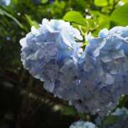 ヒメ日記 2025/06/10 10:36 投稿 りの 君とふわふわプリンセスin熊谷