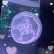 ヒメ日記 2025/07/31 09:49 投稿 りの 君とふわふわプリンセスin熊谷