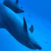 ヒメ日記 2025/11/11 21:05 投稿 みお すごいエステ 名古屋店