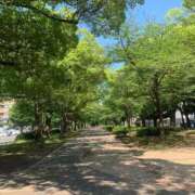 ヒメ日記 2025/06/17 19:52 投稿 ささら sakura