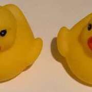 ヒメ日記 2025/06/21 21:42 投稿 ささら sakura