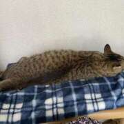 ヒメ日記 2025/10/22 16:06 投稿 わか PLAYBOY（一番町）