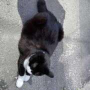 ヒメ日記 2025/10/26 07:55 投稿 わか PLAYBOY（一番町）