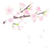 ヒメ日記 2025/12/15 15:15 投稿 わか PLAYBOY（一番町）