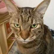 ヒメ日記 2026/01/30 07:27 投稿 わか PLAYBOY（一番町）