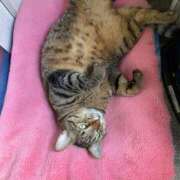 ヒメ日記 2026/02/09 20:25 投稿 わか PLAYBOY（一番町）