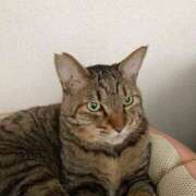 ヒメ日記 2026/02/19 10:35 投稿 わか PLAYBOY（一番町）