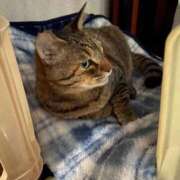 ヒメ日記 2026/02/22 15:55 投稿 わか PLAYBOY（一番町）