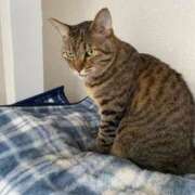 ヒメ日記 2026/03/08 07:16 投稿 わか PLAYBOY（一番町）