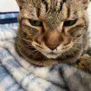 ヒメ日記 2026/03/09 11:25 投稿 わか PLAYBOY（一番町）