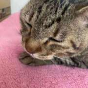 ヒメ日記 2026/03/10 10:35 投稿 わか PLAYBOY（一番町）