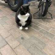 ヒメ日記 2026/03/18 20:45 投稿 わか PLAYBOY（一番町）