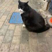 ヒメ日記 2026/03/19 12:05 投稿 わか PLAYBOY（一番町）