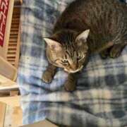 ヒメ日記 2026/03/24 14:35 投稿 わか PLAYBOY（一番町）