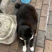 ヒメ日記 2026/04/01 20:05 投稿 わか PLAYBOY（一番町）