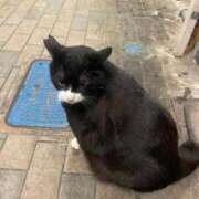 ヒメ日記 2026/04/09 18:45 投稿 わか PLAYBOY（一番町）