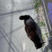 ヒメ日記 2026/04/14 07:35 投稿 わか PLAYBOY（一番町）