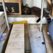 ヒメ日記 2026/07/16 19:10 投稿 わか PLAYBOY（一番町）