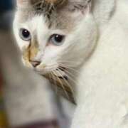 ヒメ日記 2025/08/27 07:25 投稿 かな PLAYBOY（一番町）