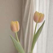 ヒメ日記 2026/02/12 09:55 投稿 めぐ PLAYBOY（一番町）