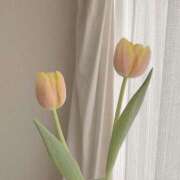 ヒメ日記 2026/03/15 10:05 投稿 めぐ PLAYBOY（一番町）