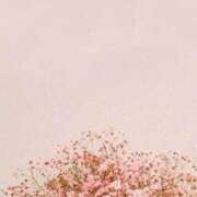 めぐ ☆ PLAYBOY（一番町）