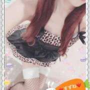 ヒメ日記 2025/10/24 09:25 投稿 すずね PLAYBOY（一番町）