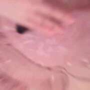 ヒメ日記 2026/03/12 06:35 投稿 すずね PLAYBOY（一番町）