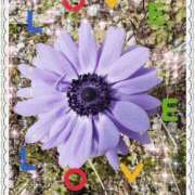 ヒメ日記 2026/03/21 16:47 投稿 すずね PLAYBOY（一番町）