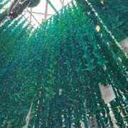 ヒメ日記 2025/08/07 12:25 投稿 かすみ PLAYBOY（一番町）