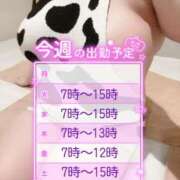 ヒメ日記 2025/10/14 18:32 投稿 かすみ PLAYBOY（一番町）