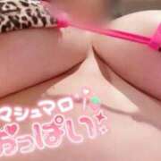 ヒメ日記 2025/10/19 13:05 投稿 かすみ PLAYBOY（一番町）