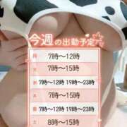 ヒメ日記 2025/10/26 08:35 投稿 かすみ PLAYBOY（一番町）