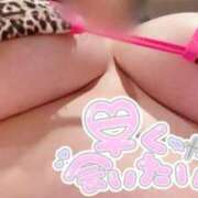 ヒメ日記 2025/11/08 06:15 投稿 かすみ PLAYBOY（一番町）