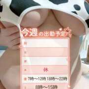 ヒメ日記 2025/11/12 16:05 投稿 かすみ PLAYBOY（一番町）