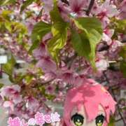 ヒメ日記 2026/01/14 21:53 投稿 かすみ PLAYBOY（一番町）