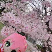 ヒメ日記 2026/01/16 13:15 投稿 かすみ PLAYBOY（一番町）