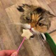 ヒメ日記 2026/02/20 09:05 投稿 かすみ PLAYBOY（一番町）