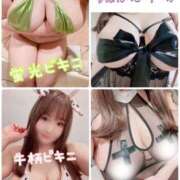 ヒメ日記 2026/03/25 19:05 投稿 かすみ PLAYBOY（一番町）