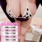 ヒメ日記 2026/03/31 06:55 投稿 かすみ PLAYBOY（一番町）