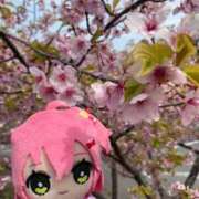 ヒメ日記 2026/04/03 17:06 投稿 かすみ PLAYBOY（一番町）