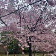 ヒメ日記 2026/04/06 06:55 投稿 かすみ PLAYBOY（一番町）