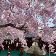 ヒメ日記 2026/04/18 09:35 投稿 かすみ PLAYBOY（一番町）