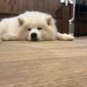 ヒメ日記 2025/06/24 09:59 投稿 りな ばつぐん素人プロダクション