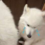 ヒメ日記 2025/07/04 11:38 投稿 りな ばつぐん素人プロダクション