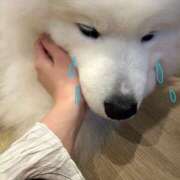 ヒメ日記 2025/09/19 10:59 投稿 りな ばつぐん素人プロダクション